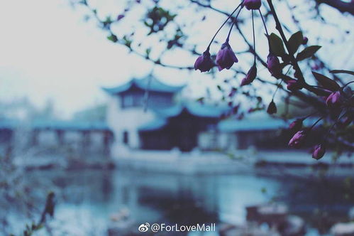 我们的美好时光 青岛 摄影服务